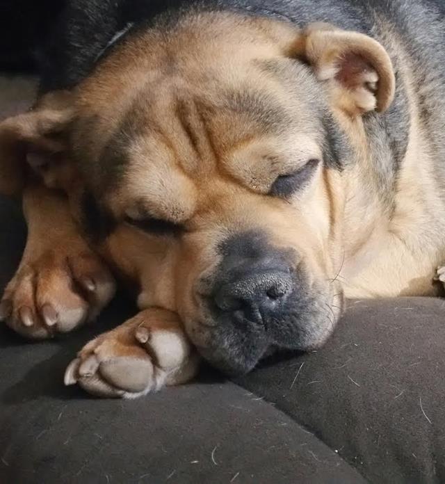 Nolan