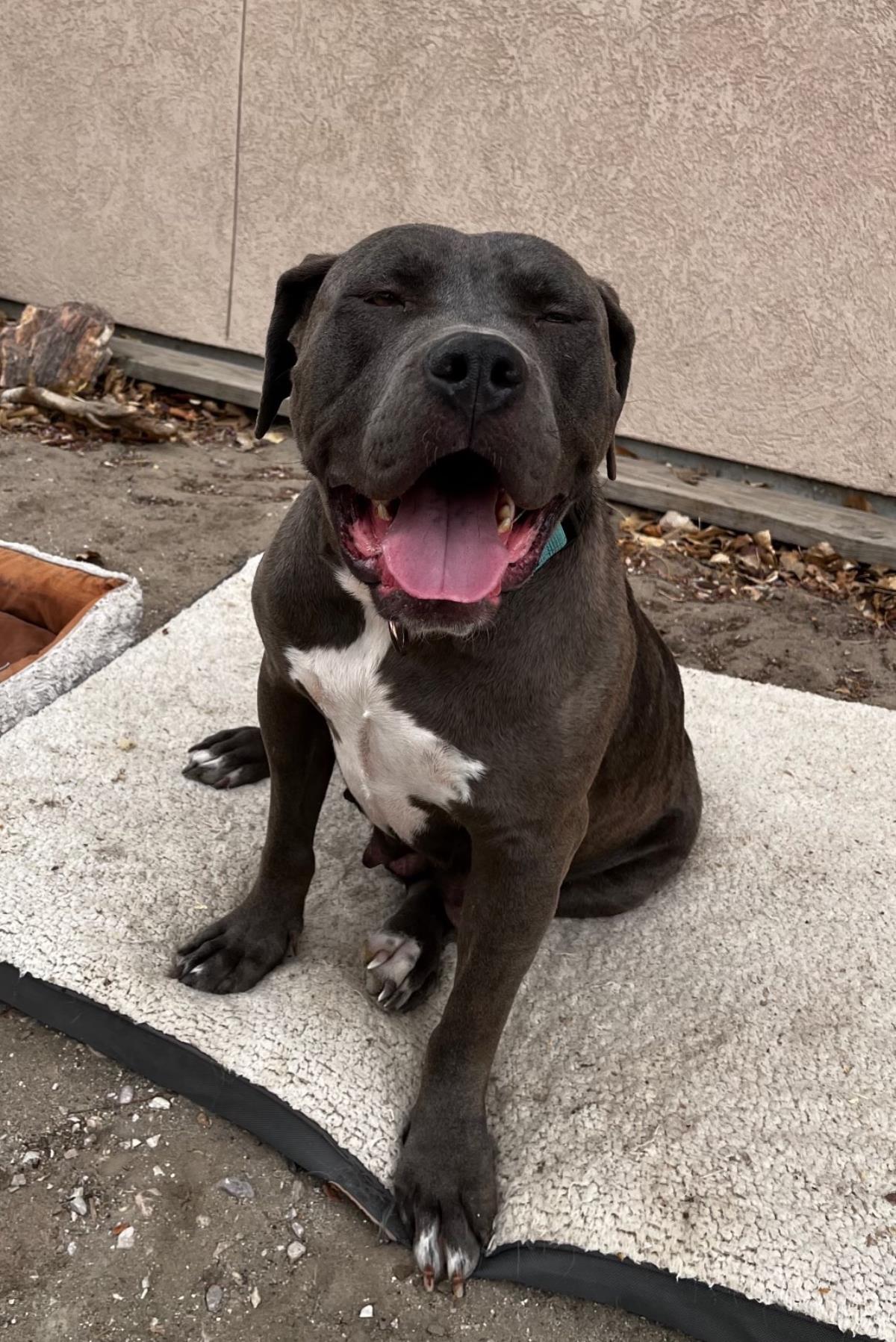  Cagney (Formerly Amelia)