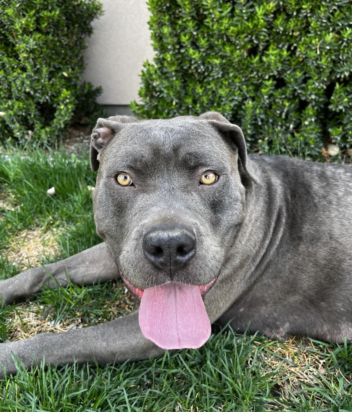  Cagney (Formerly Amelia)