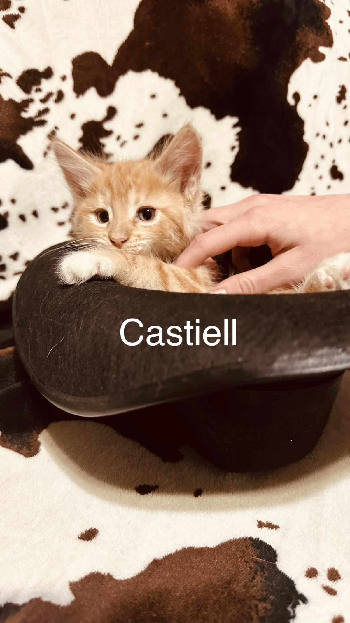  Castiell