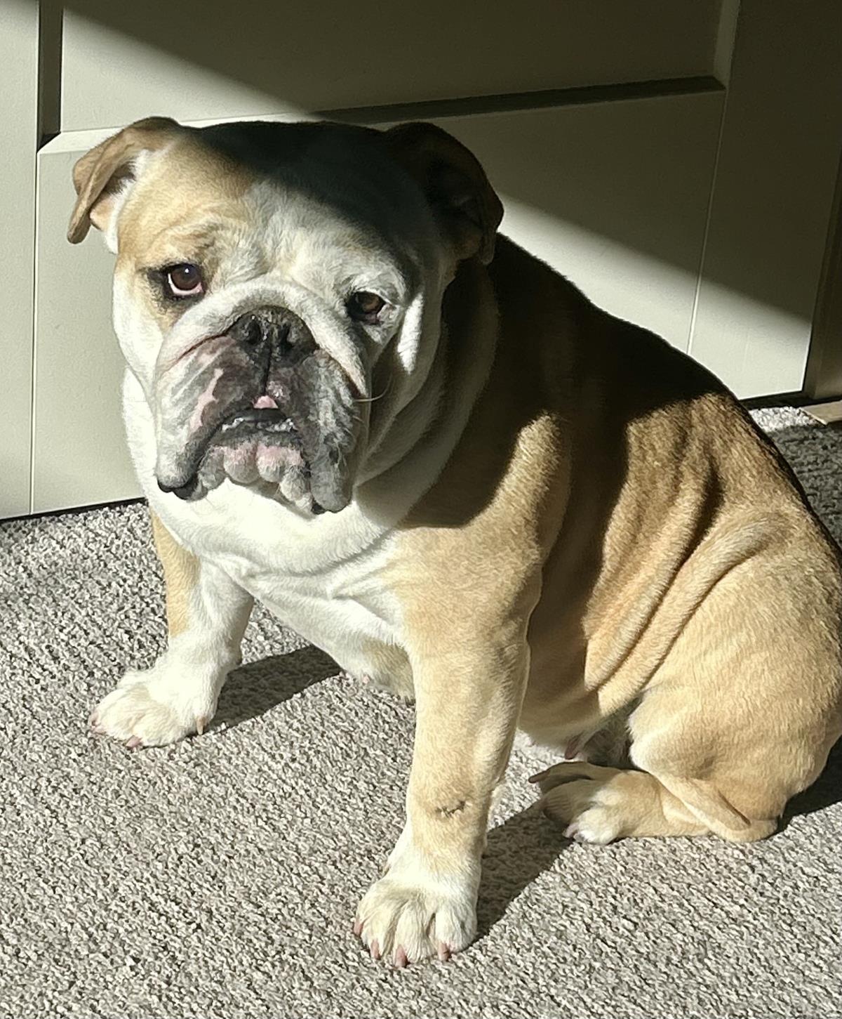 Charlie