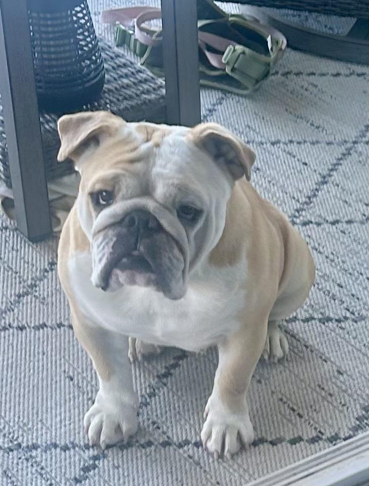 Charlie