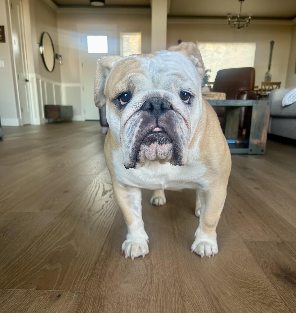 Charlie