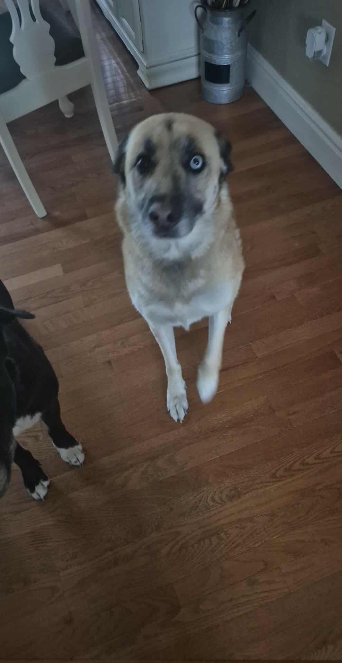  Thor And Delilah