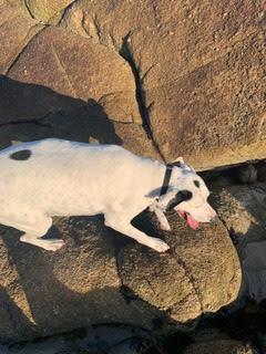 Ella