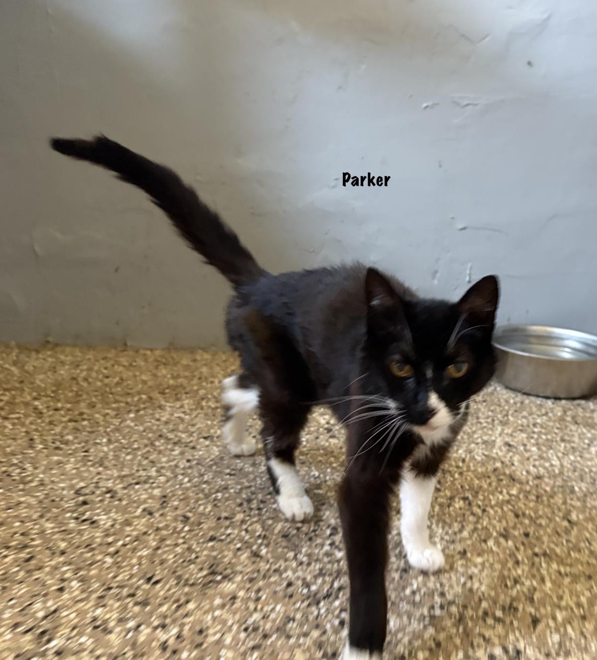  Parker