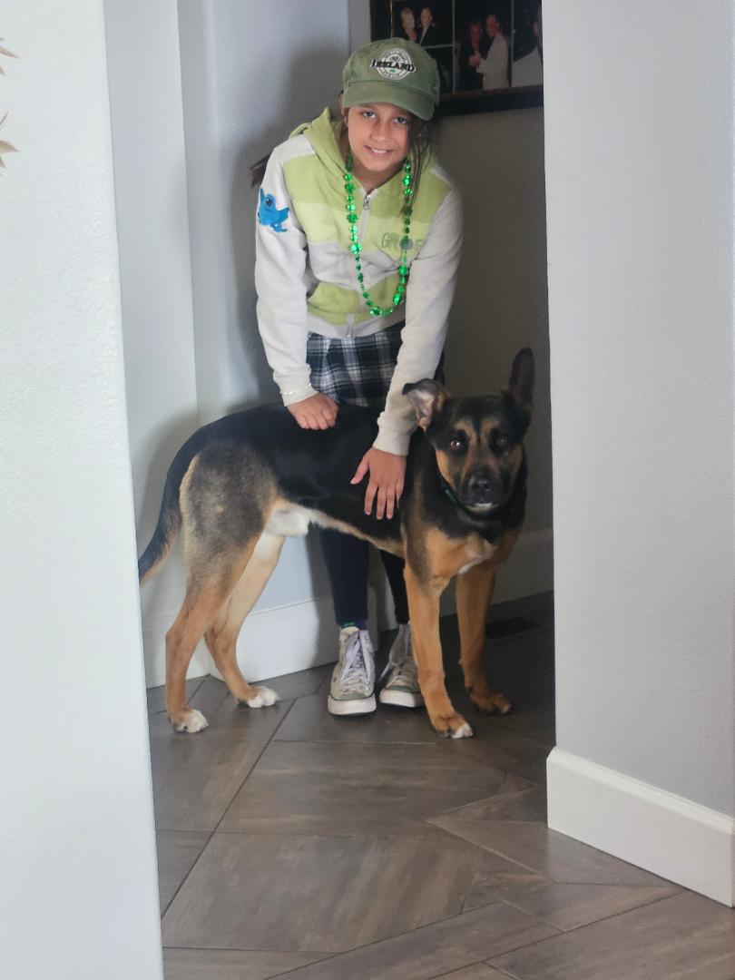 Scooby