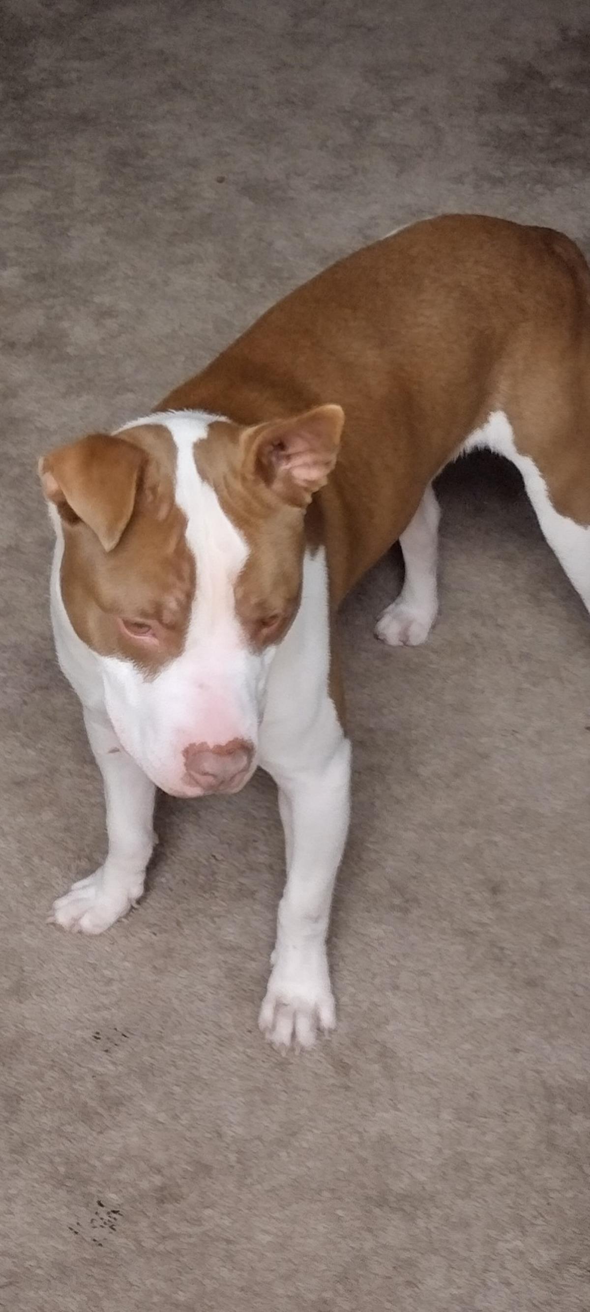  Seamus