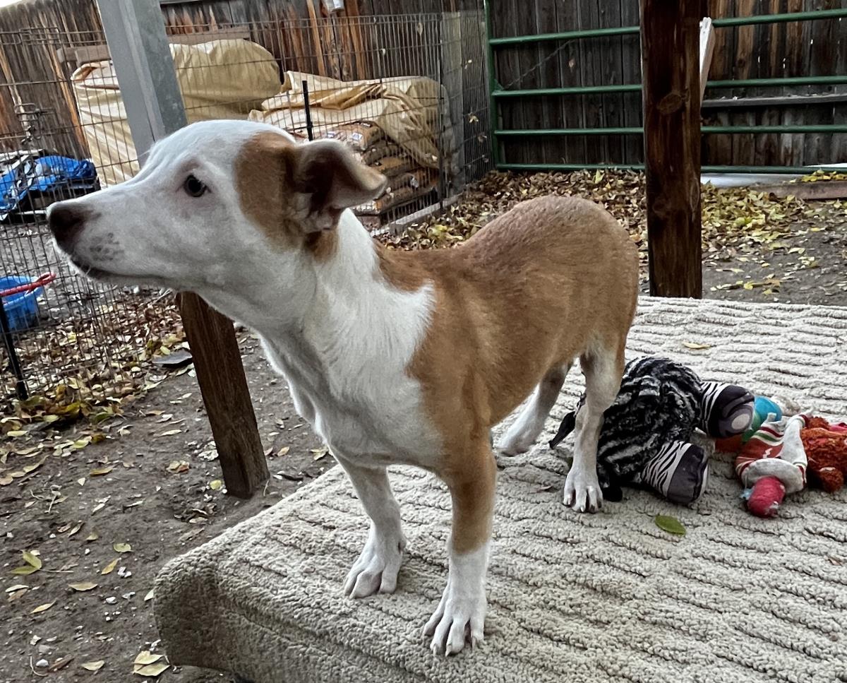  Spice Aka Pretty Girl