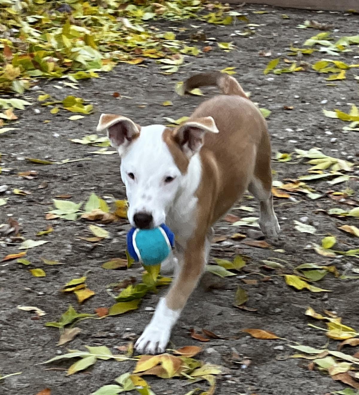  Spice Aka Pretty Girl